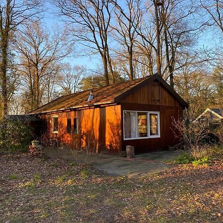 Basic Natuurhuisje Ommen/Beerze Villa Esterno foto