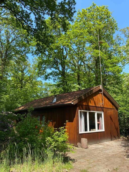Basic Natuurhuisje Ommen/Beerze Villa Esterno foto